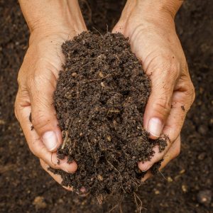 Potting soil- growing media