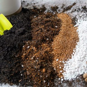 Potting soil- growing media