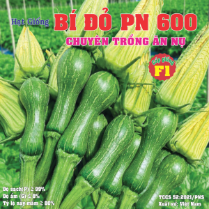 BÍ ĐỎ PN 600 (Chuyên Trồng Ăn Nụ)