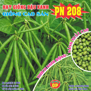 ĐẬU XANH PN 208 (Giống Cao Sản)
