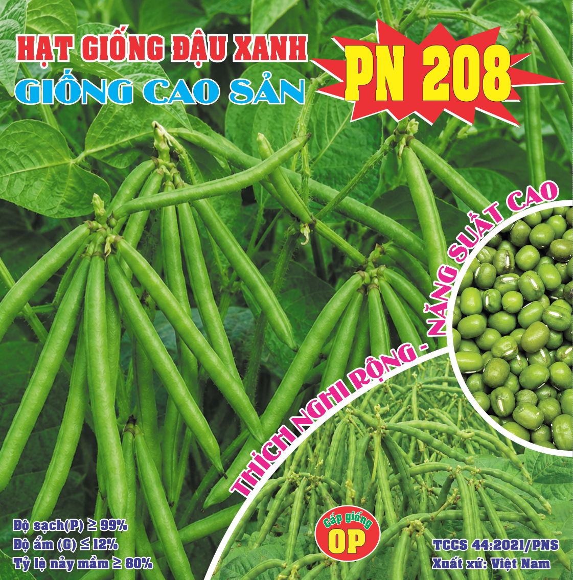 ĐẬU XANH PN 208
