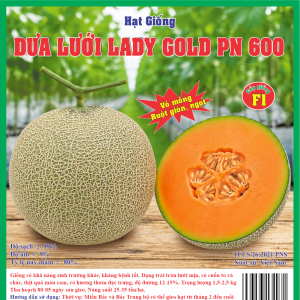 DƯA LƯỚI LADY GOLD PN 600